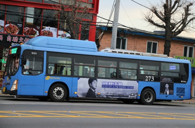 [트래블버스] 최애버스 너무 예뻐요~