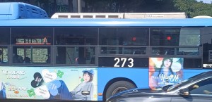 한시간 반 기다려서 찍었습니다

근데 k시티투어버스는 노선이 어딘지도 안알려줘서 어디 붙었는지도 모르겠네요 알려주세요
