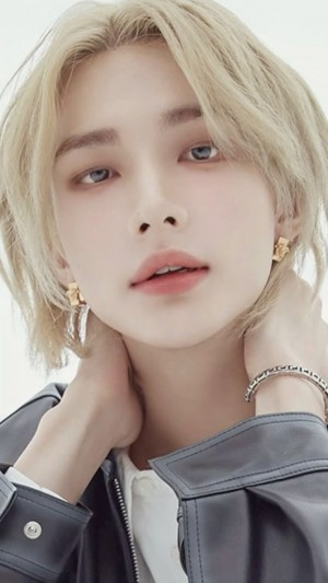 17312042
