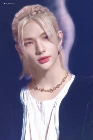17312038