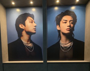 Stream and vote