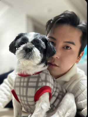 A star with good chemistry with animals