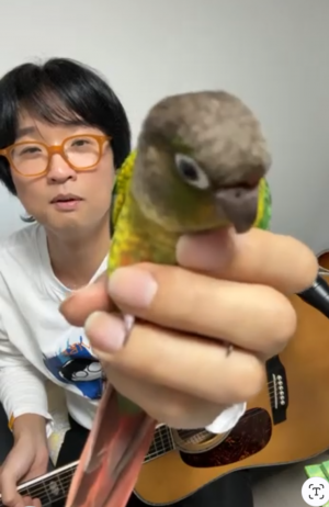 ペットと仲良しなスター