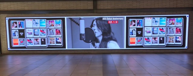 팬앤스타 광고 인증샷