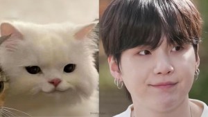 Ngôi sao mang vẻ đẹp “giống mèo” với sức hút lạnh lùng là ai? 