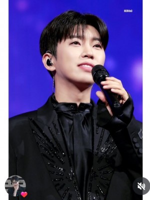 보고만 있어도 힐링되는 강아지상은? 