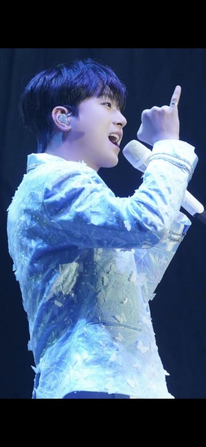 도도한 매력의 고양이상 스타는? 