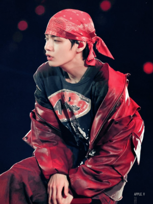 想在汉江粉丝见面会上见到的明星 