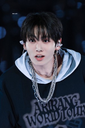 想在汉江粉丝见面会上见到的明星 