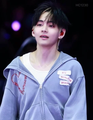 Kim Taehyung 🐯