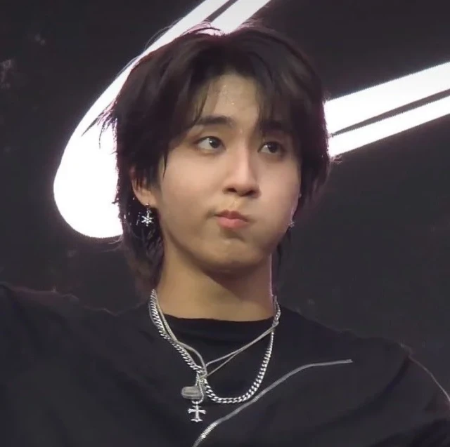 Stray Kids (스트레이 키즈)