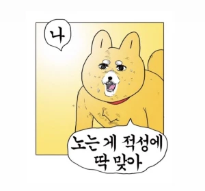 노는게 제일좋으