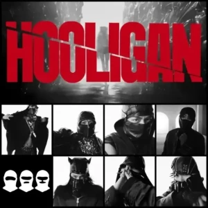 Hooligan y su significado