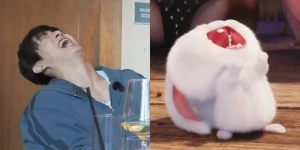 💜🐰💜