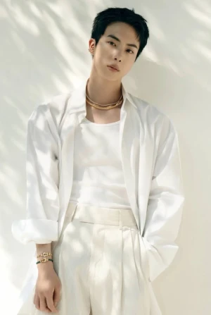 Kim Seokjin
