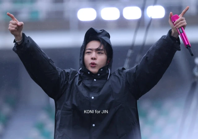 Kim Seokjin‪🐹*☂︎*̣̩⋆