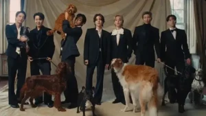 STREAM NORMAL MV