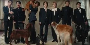STREAM NORMAL MV!