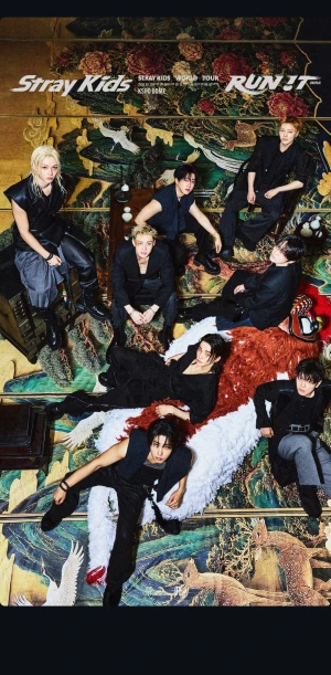 Stray kids ❤️