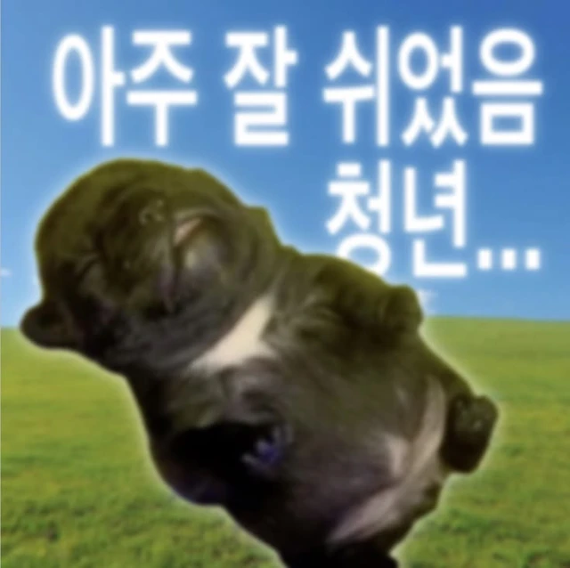 다들 공휴일 잘 보내셨나요?