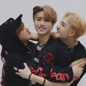 Stray kids
