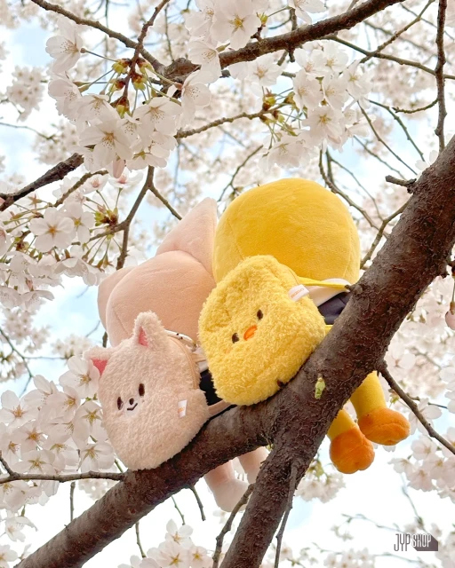 힘내세요!