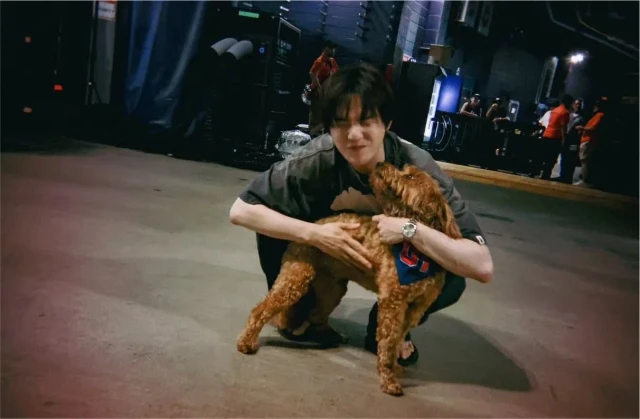 Acompañante especial BTS