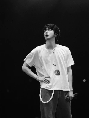 Jin WWH