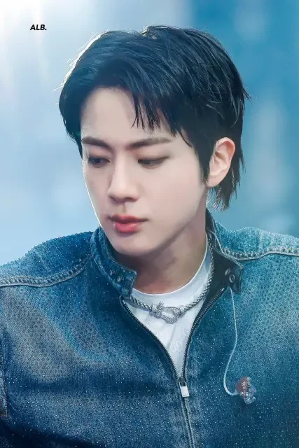 🌼🌸 JIN 🌸🌼
