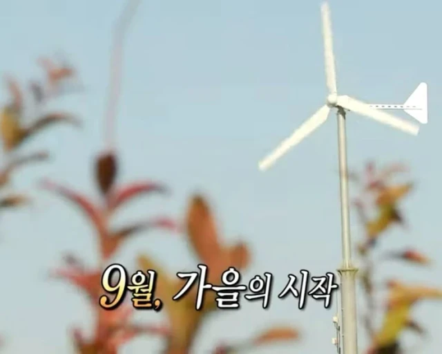 TMA까지 진짜 얼마 안 남았네요
