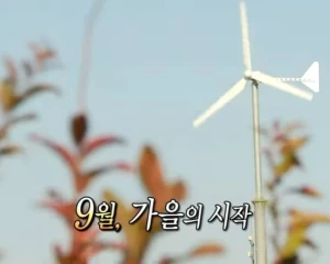 TMA까지 진짜 얼마 안 남았네요