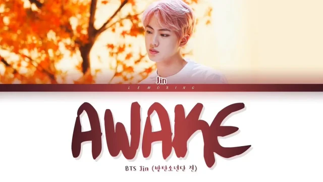 🔎✨金石镇 🐹慶祝Awake10週年吧🎶〜🎈🎈🎈