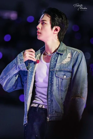 방탄소년단진