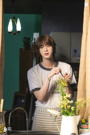 seokjin 🌸