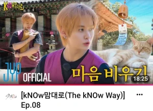 STREAM SKZ
