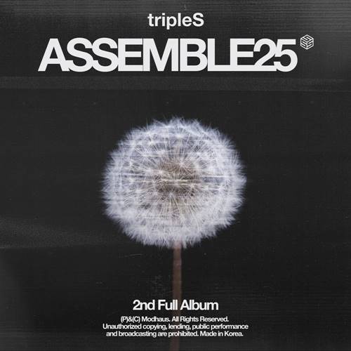 tripleS