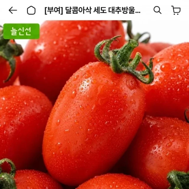 오늘의집 대추방울토마토 2kg 실중량 로... (10,781 원)