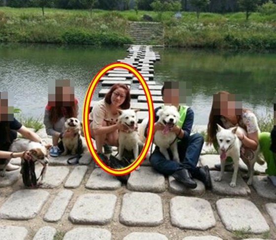 김영희, '기부 좀 하세요' 댓글에 응답...13년 유기견 봉사·여성용품 후원 이어와