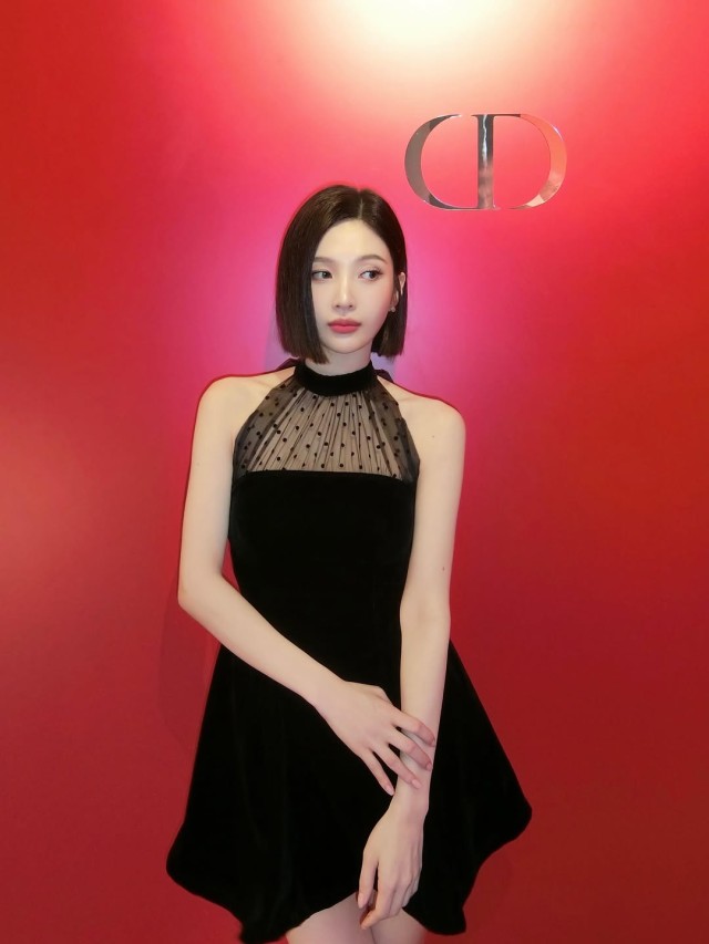 조이 디올 행사서 우아한 매력 뽐내검은 드레스로 시선 강탈
