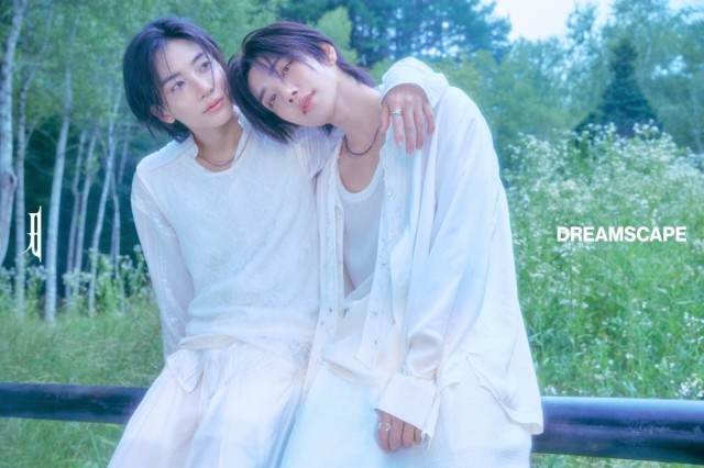 세븐틴, 1년간 5장 앨범·56회 공연...멤버별 유닛·솔로로 공백 최소화
