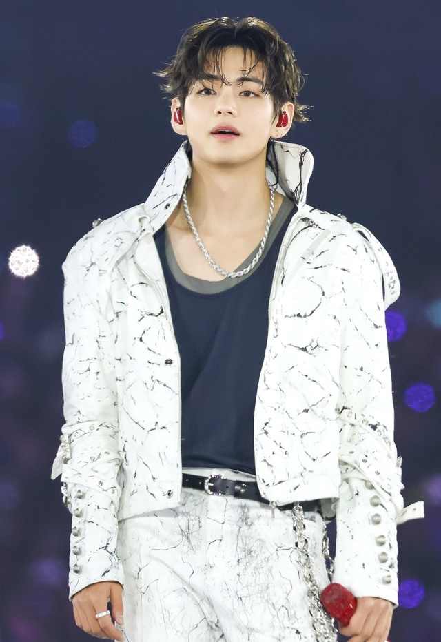 BTS V, welcomed as 'Mister Lindo' at Brazil concert... Most searched in 75 countries