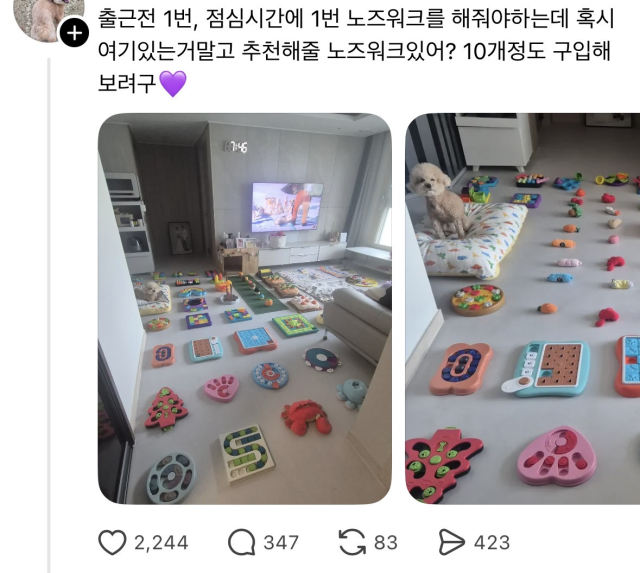 [스레드] 조금 당황스러운 강아지 노즈워크 상황