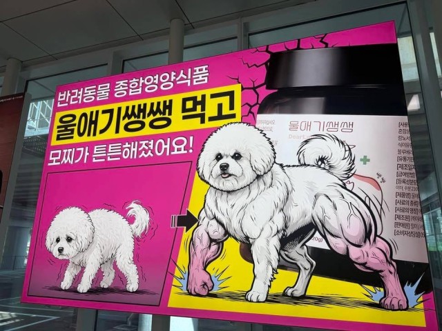 고민되는 반려동물 영양제
