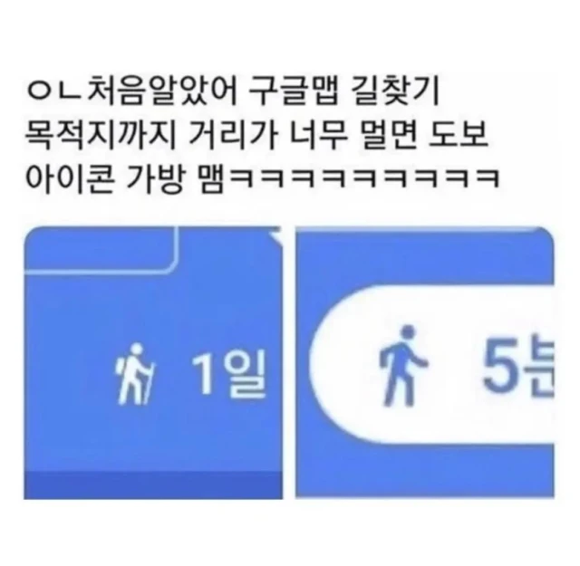 구글 맵의 숨겨진 디테일.jpg