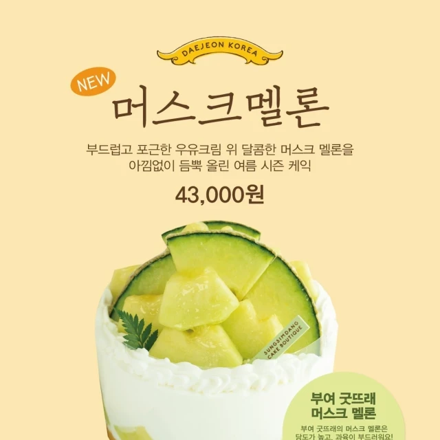 성심당 머스크멜론케익 출시(6/29)