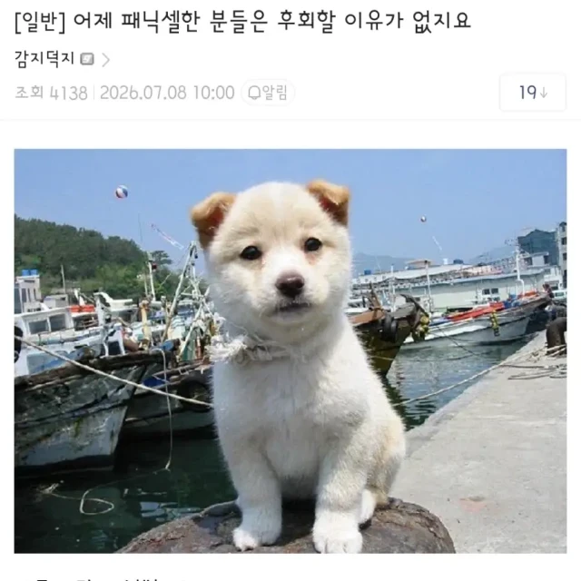 주식)어제 패닉셀한 분들은 후회할 필요가 없지요