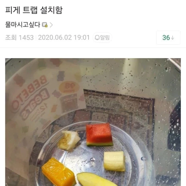 도마뱀 탈출해서 트랩 설치함