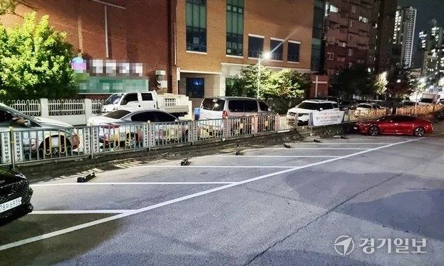 한국의 진짜 이상한 주차 문화