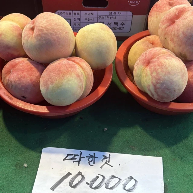 딱한 복숭아