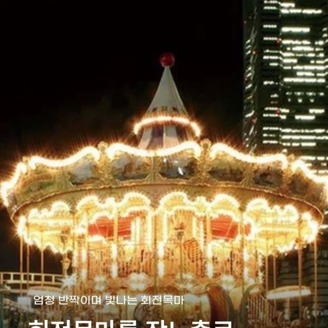 회전목마를 장노출로 찍으면 이쁘겠지?